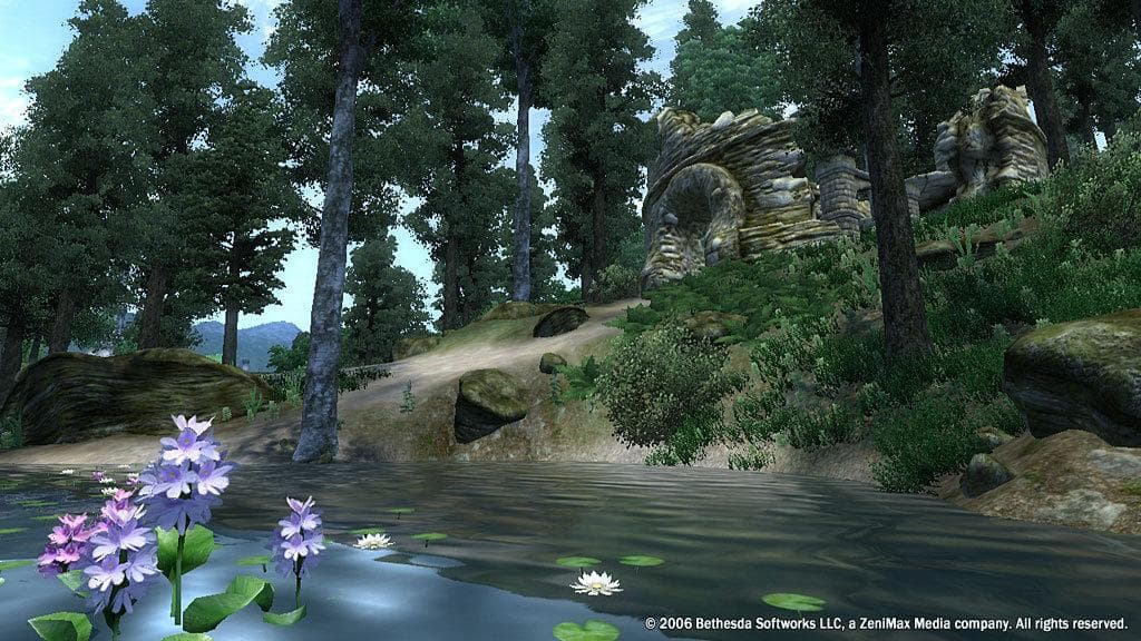 The Elder Scrolls IV: Oblivion — Steam ゲームキー