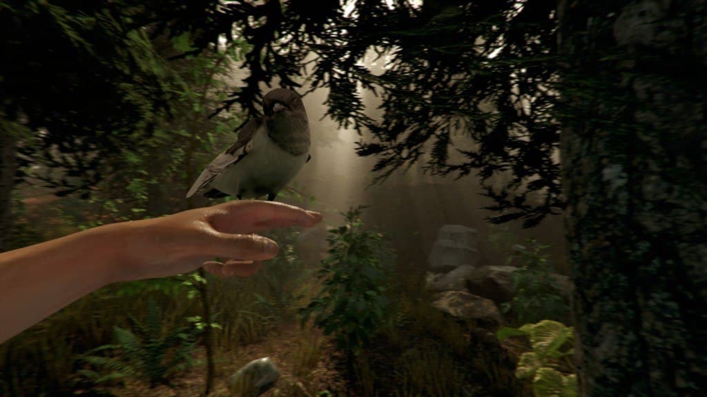 The Forest — مفتاح لعبة Steam — 1