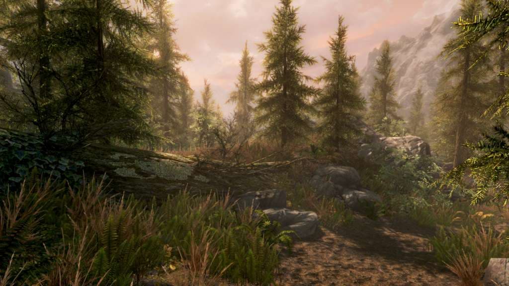 The Elder Scrolls V: Skyrim EU XBOX One — Xbox One ゲームキー — 4