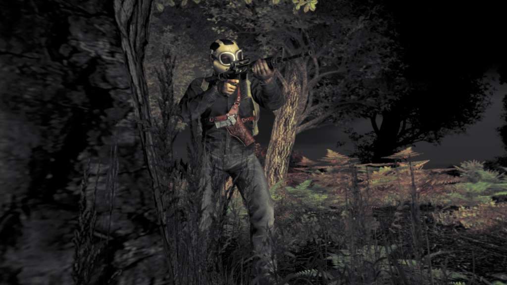 DayZ — Steam ゲームキー