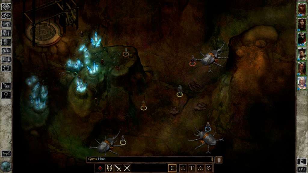 Icewind Dale — مفتاح لعبة Steam — 1