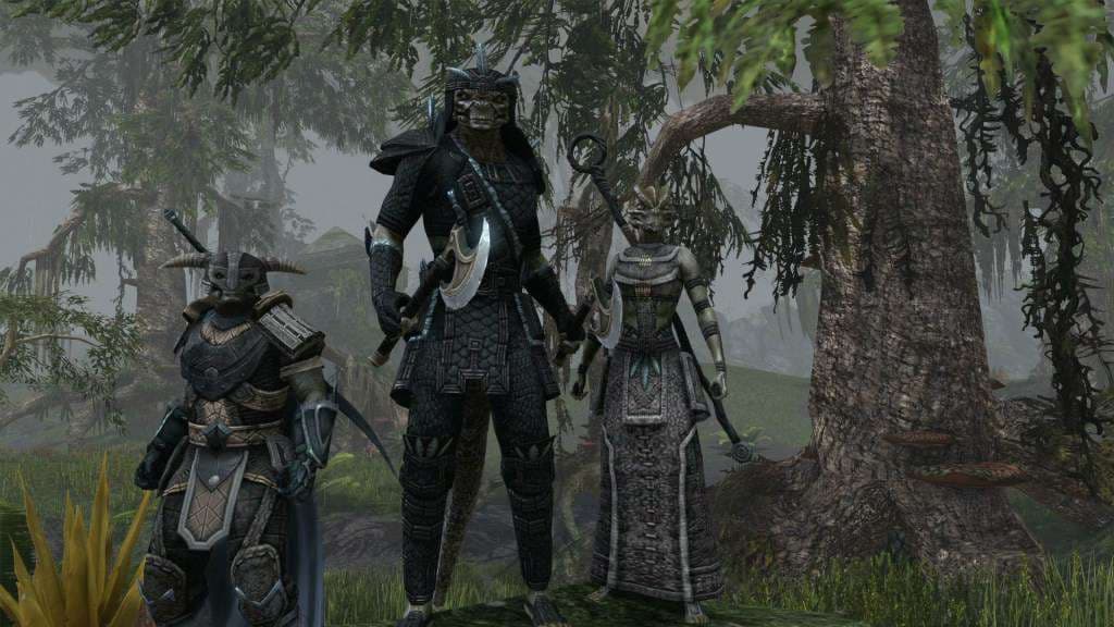 The Elder Scrolls Online — Clave de juego Steam — 3