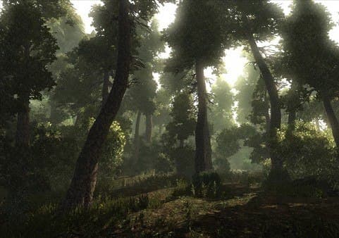 Risen — Steam Game Key — 4