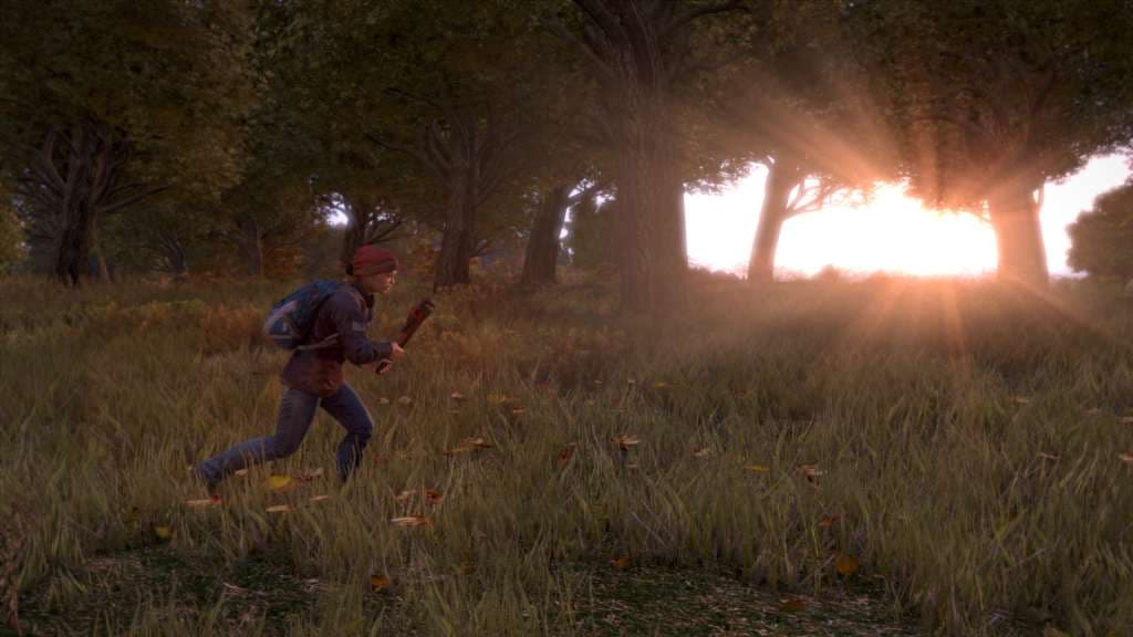 DayZ — Steam ゲームキー — 2