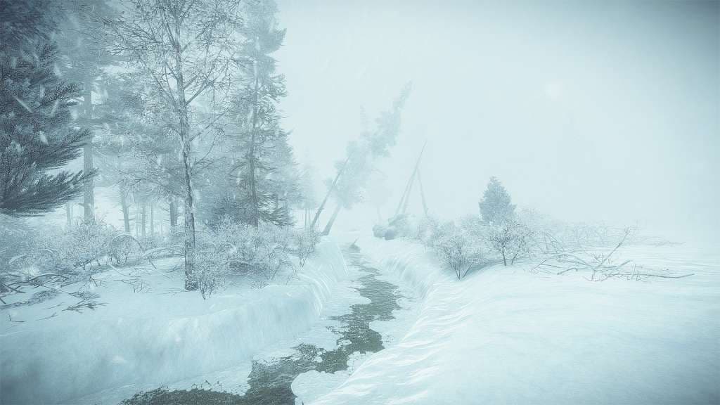Kona — Steam गेम की — 1