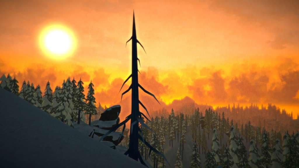 The Long Dark — Steam 게임 키 — 2