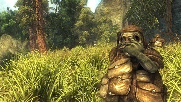 Risen — Steam Game Key — 1