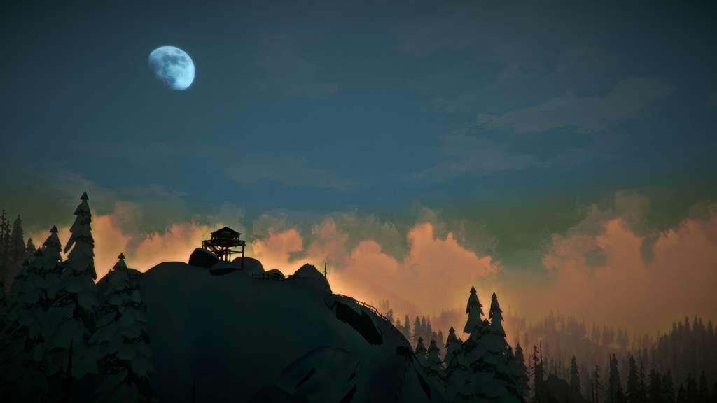 The Long Dark — Steam 게임 키 — 5