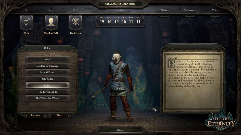 Pillars of Eternity — Clé de jeu Steam — 2