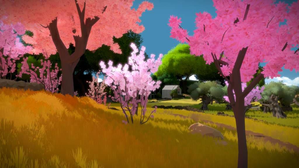 The Witness — Steam Game key — 3