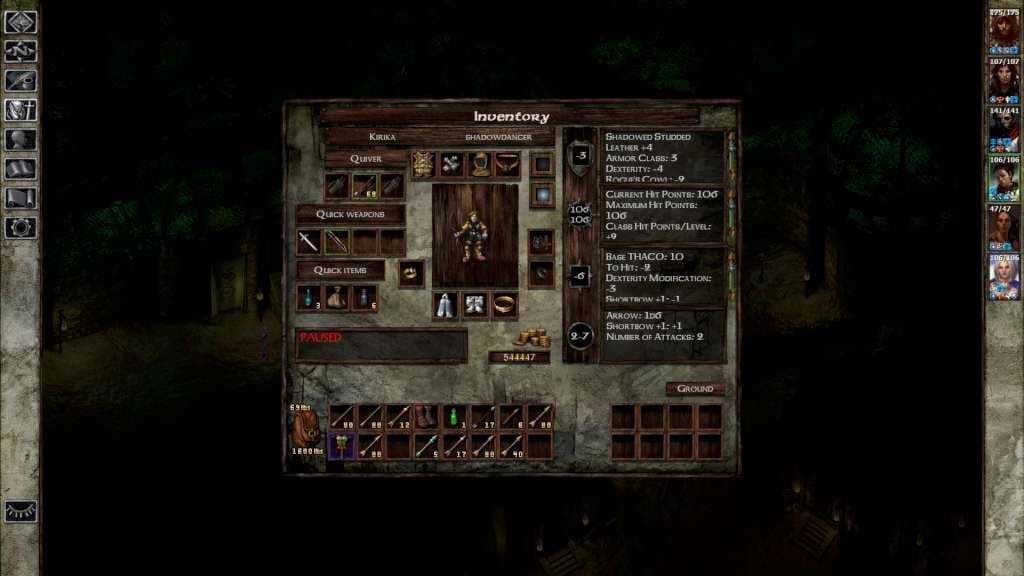 Icewind Dale — مفتاح لعبة Steam — 4