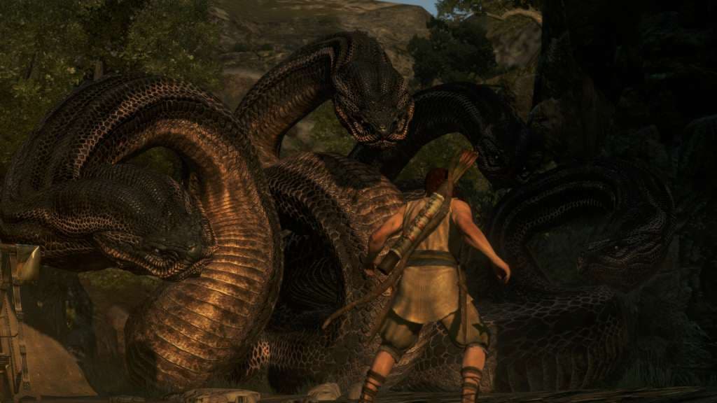 Dragon's Dogma: Dark Arisen — Key game Steam — 1