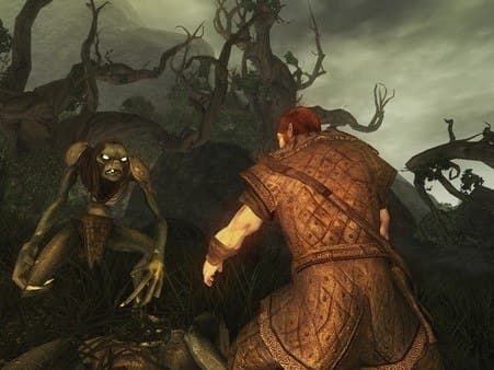 Risen — Steam Game Key