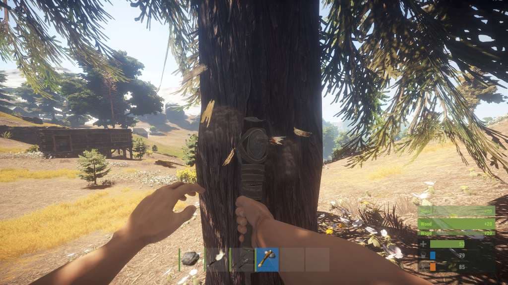RUST — Steam Game key — 4