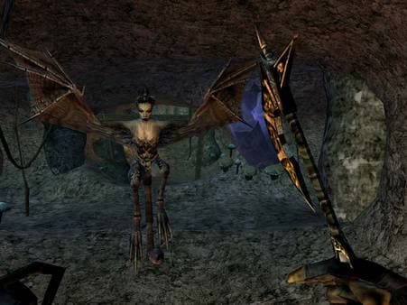The Elder Scrolls III Morrowind — Steam Game key — 3