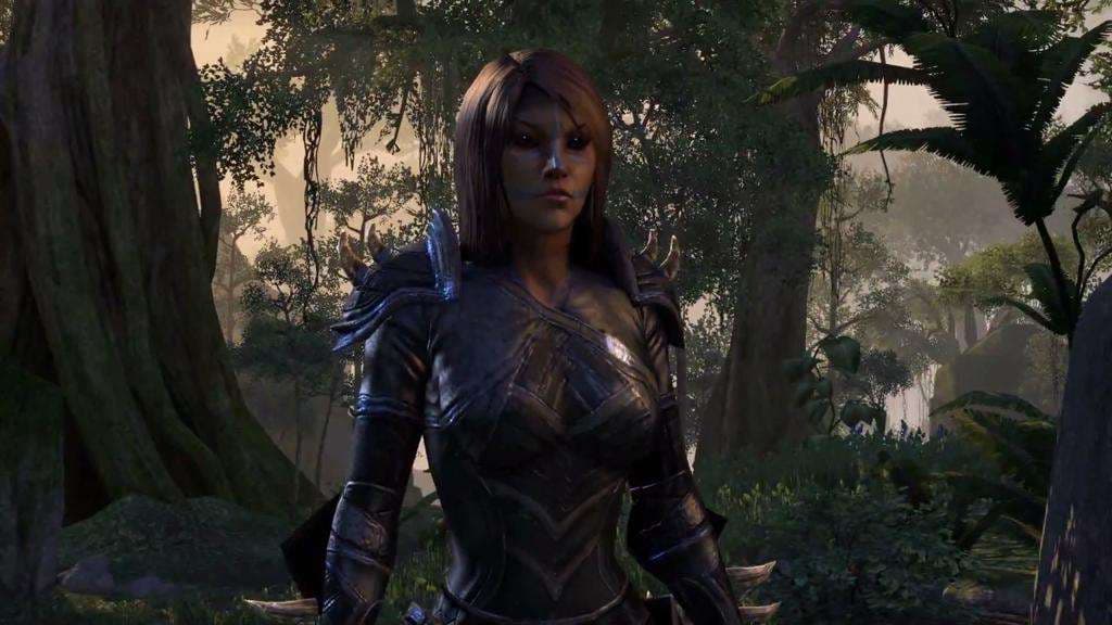 The Elder Scrolls Online — Clave de juego Steam — 5