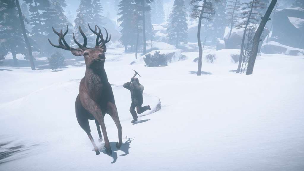 RUST — Steam Game key — 5