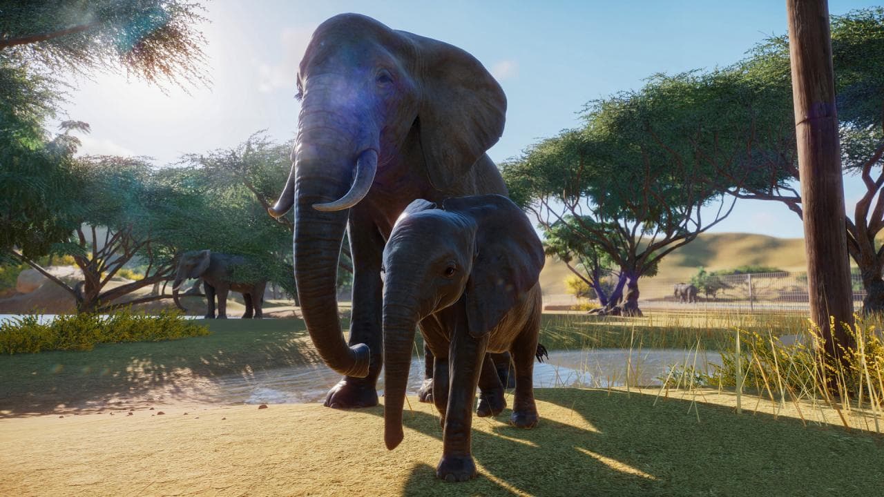 Planet Zoo — Klucz do gry Steam — 4