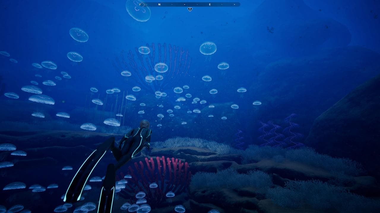 Beyond Blue — Steam Game key — 2