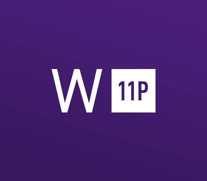Windows 11 Professional Retail