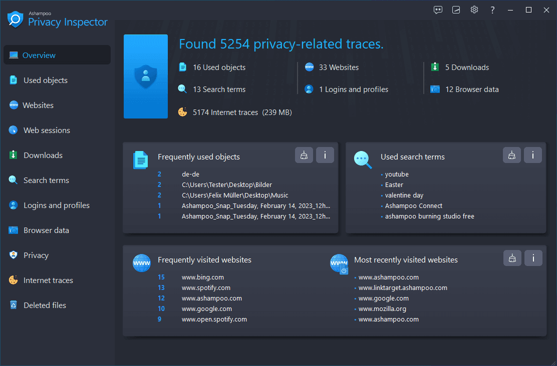 Ashampoo Privacy Inspector — Licencia Other