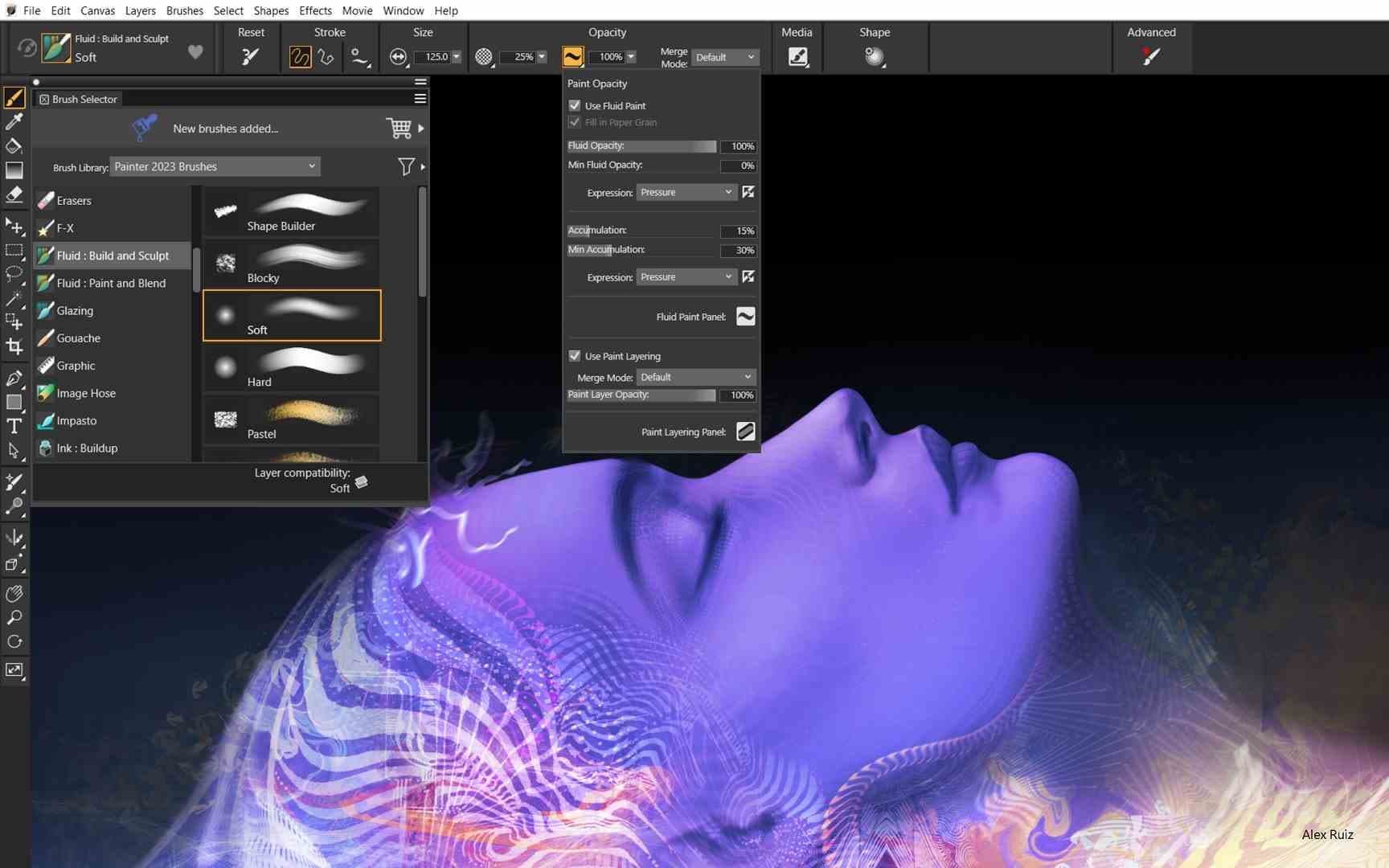 Corel Painter 2023 — Licença Other