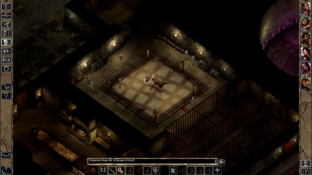 Baldur's Gate II — Steam 게임 키 — 1