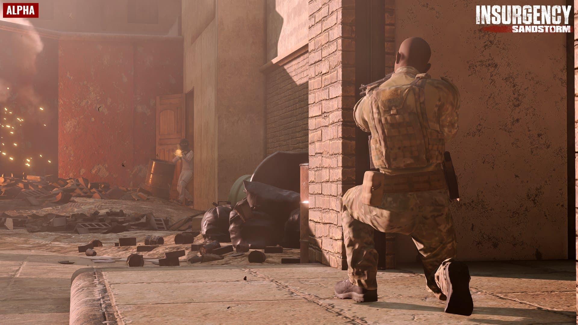 Insurgency: Sandstorm — Key game Steam — 2