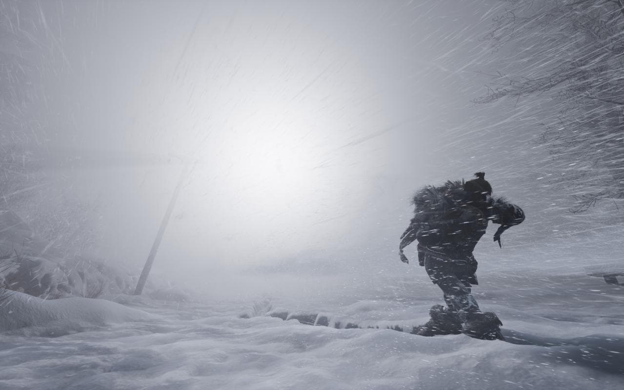 Fade to Silence — Steam 게임 키