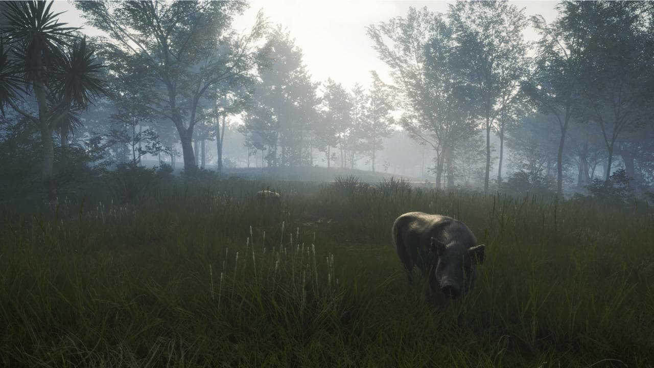 theHunter: Call of the Wild - Te Awaroa National Park DLC — DLC Steam — 3