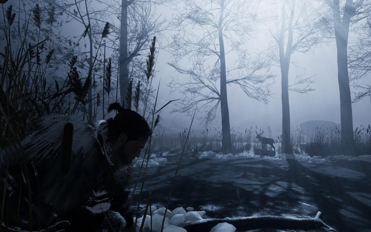 Fade to Silence — Steam 게임 키 — 5