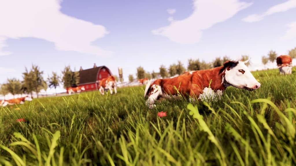 Real Farm — Klucz do gry Steam — 4