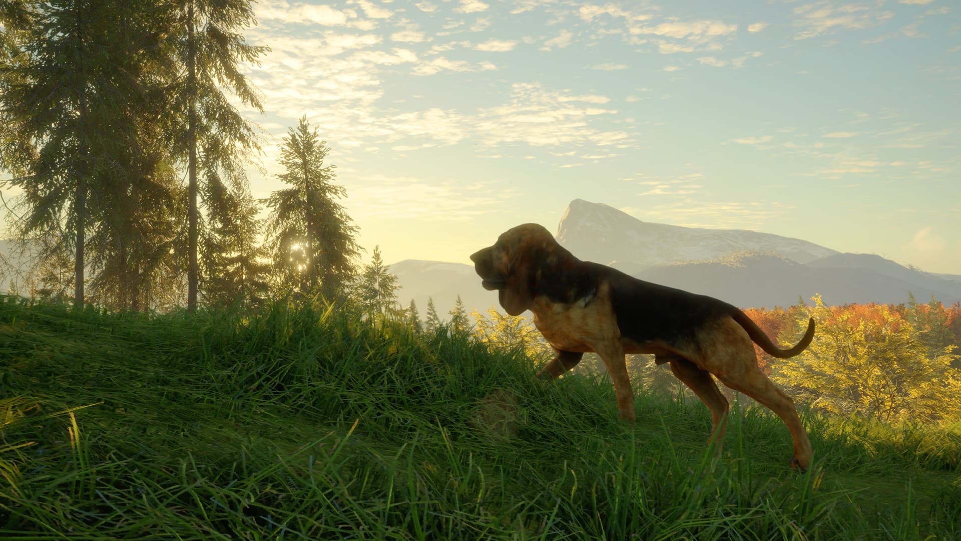 theHunter: Call of the Wild - Bloodhound DLC — DLC Steam — 2
