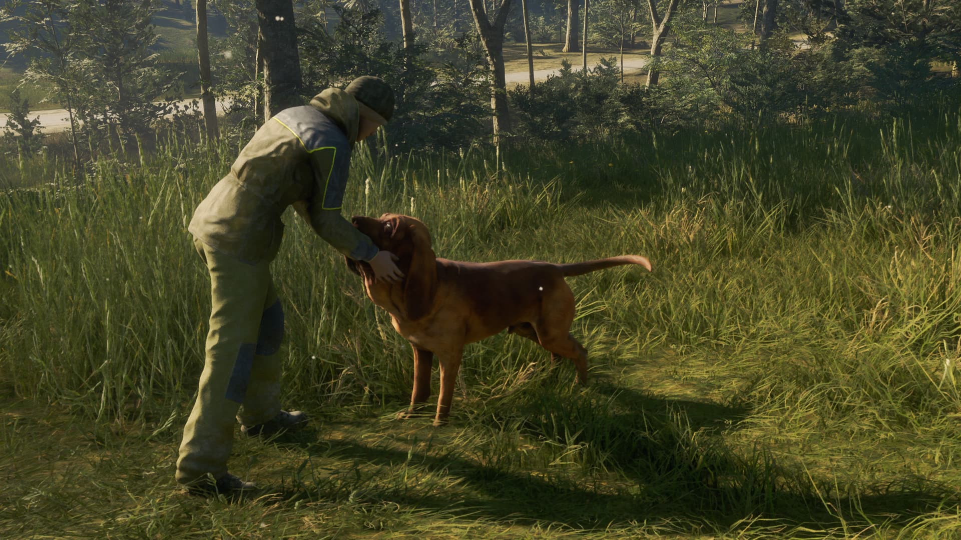 theHunter: Call of the Wild - Bloodhound DLC — DLC Steam — 4