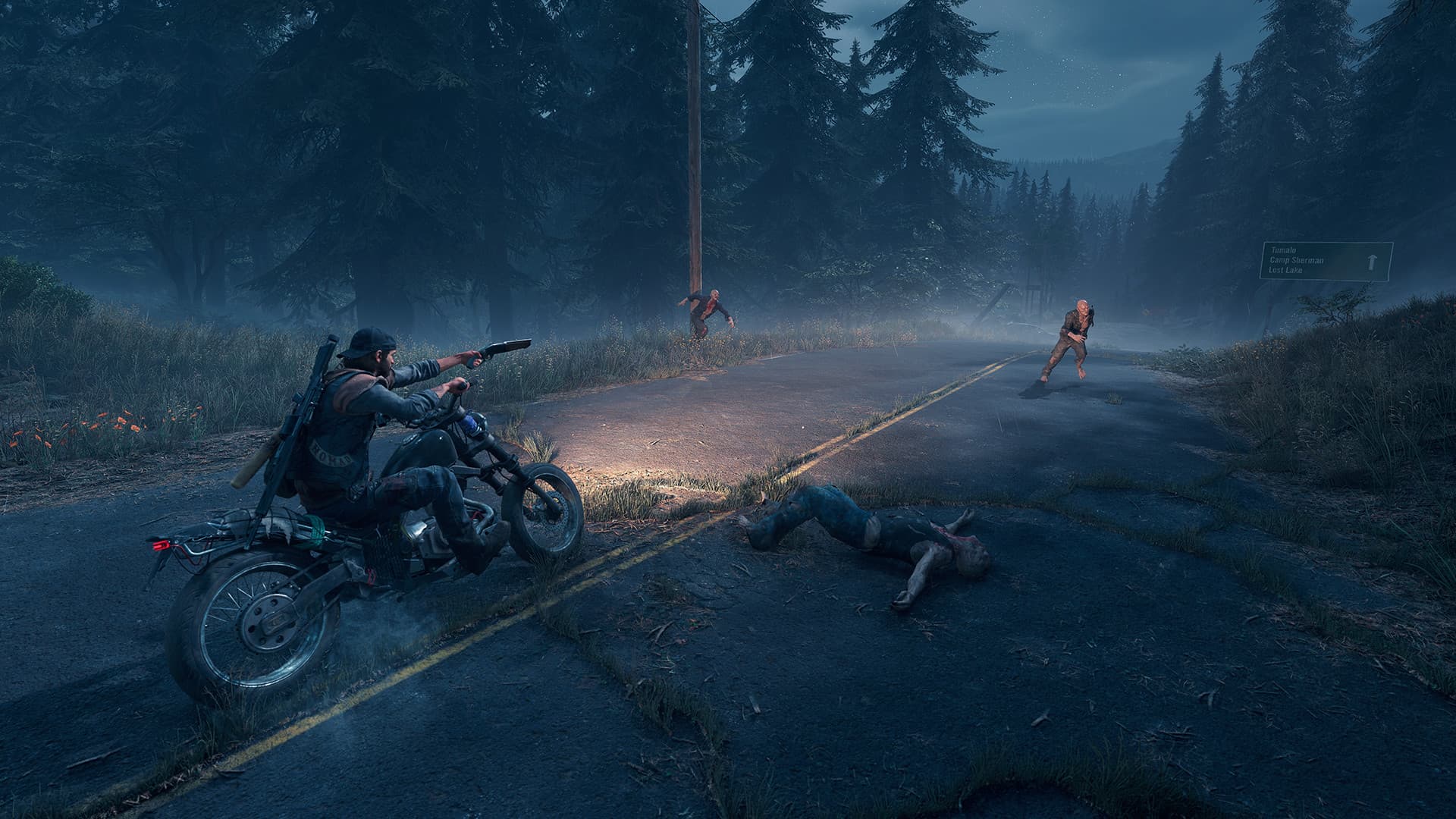 Days Gone — Chiave di gioco Steam — 1
