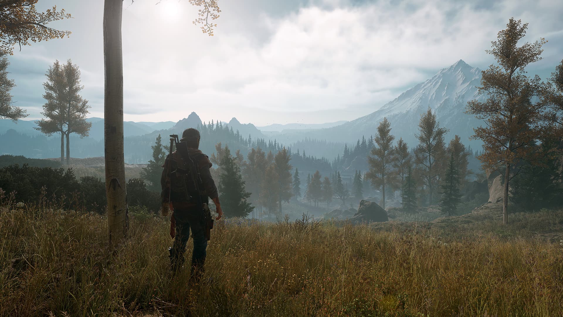Days Gone — Chiave di gioco Steam