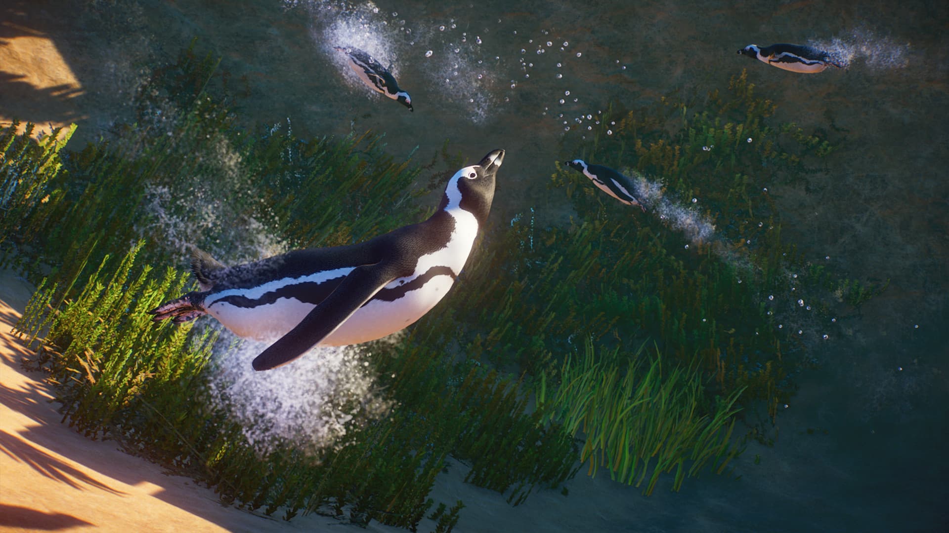 Planet Zoo - Africa Pack DLC — DLC Steam — 4
