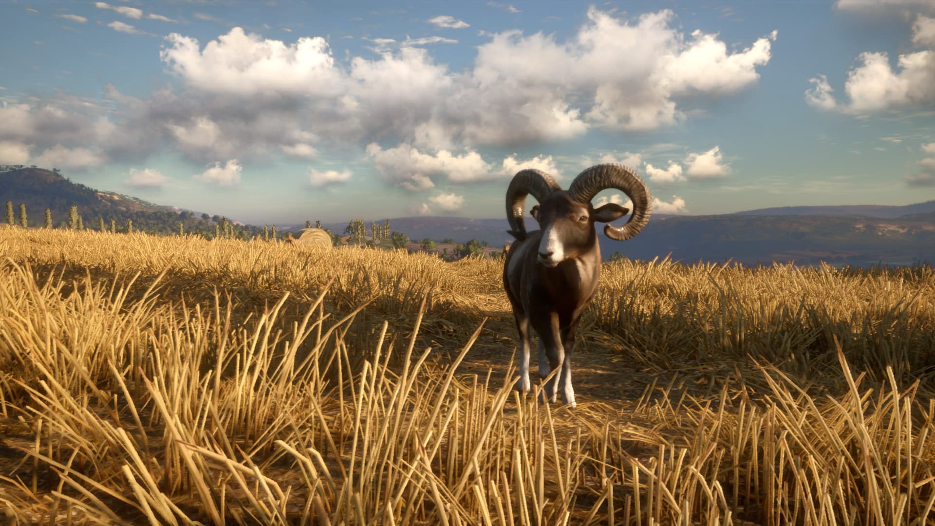 theHunter: Call of the Wild - Cuatro Colinas Game Reserve DLC — DLC Steam