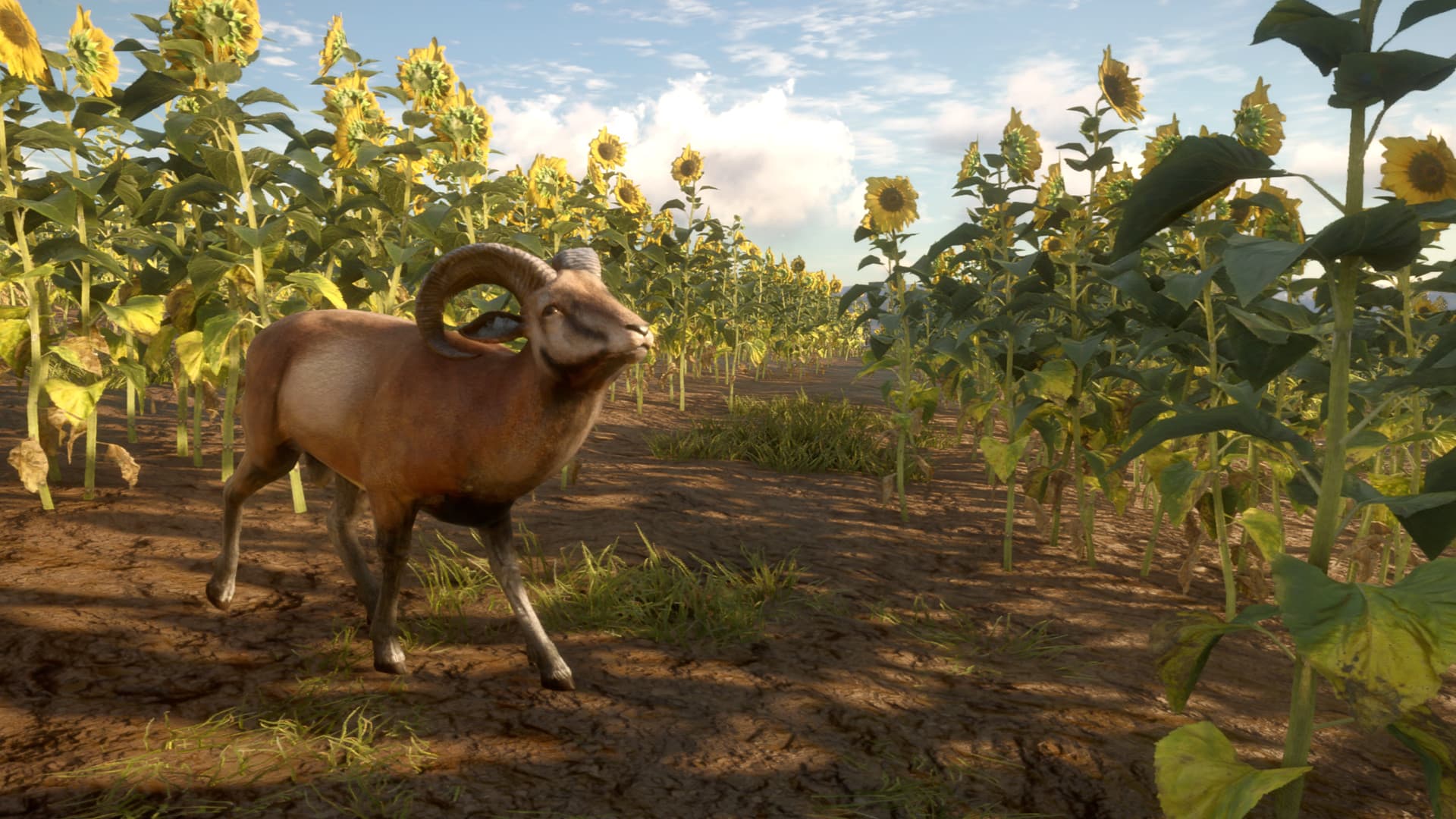 theHunter: Call of the Wild - Cuatro Colinas Game Reserve DLC — DLC Steam — 3