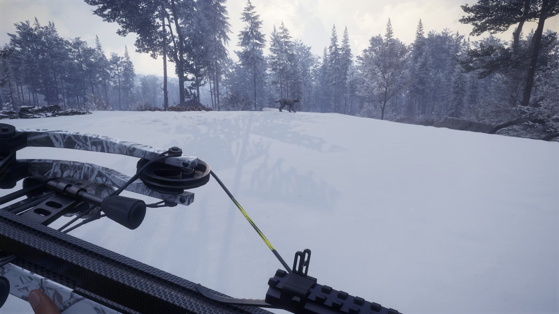 theHunter: Call of the Wild - Weapon Pack 1 DLC — DLC Steam — 5