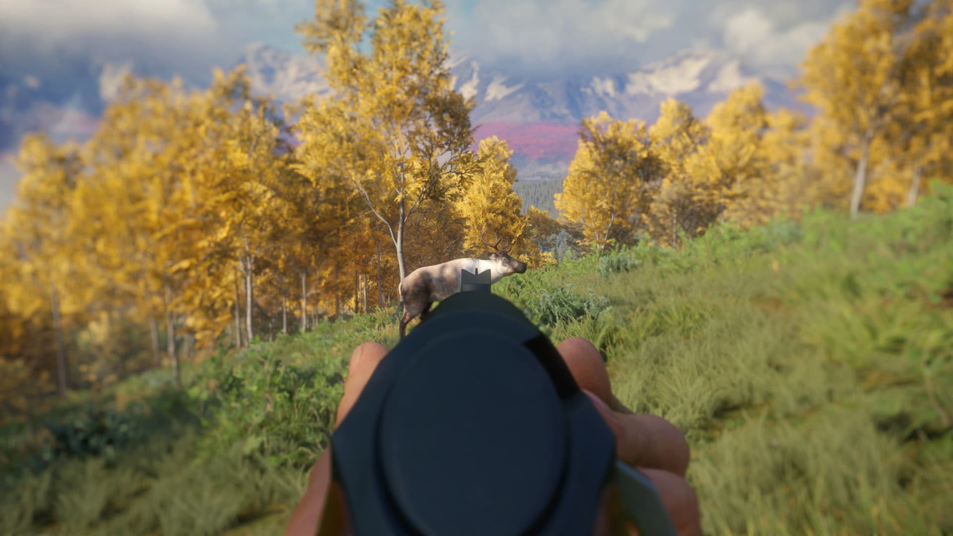 theHunter: Call of the Wild - Weapon Pack 3 DLC — DLC Steam — 2
