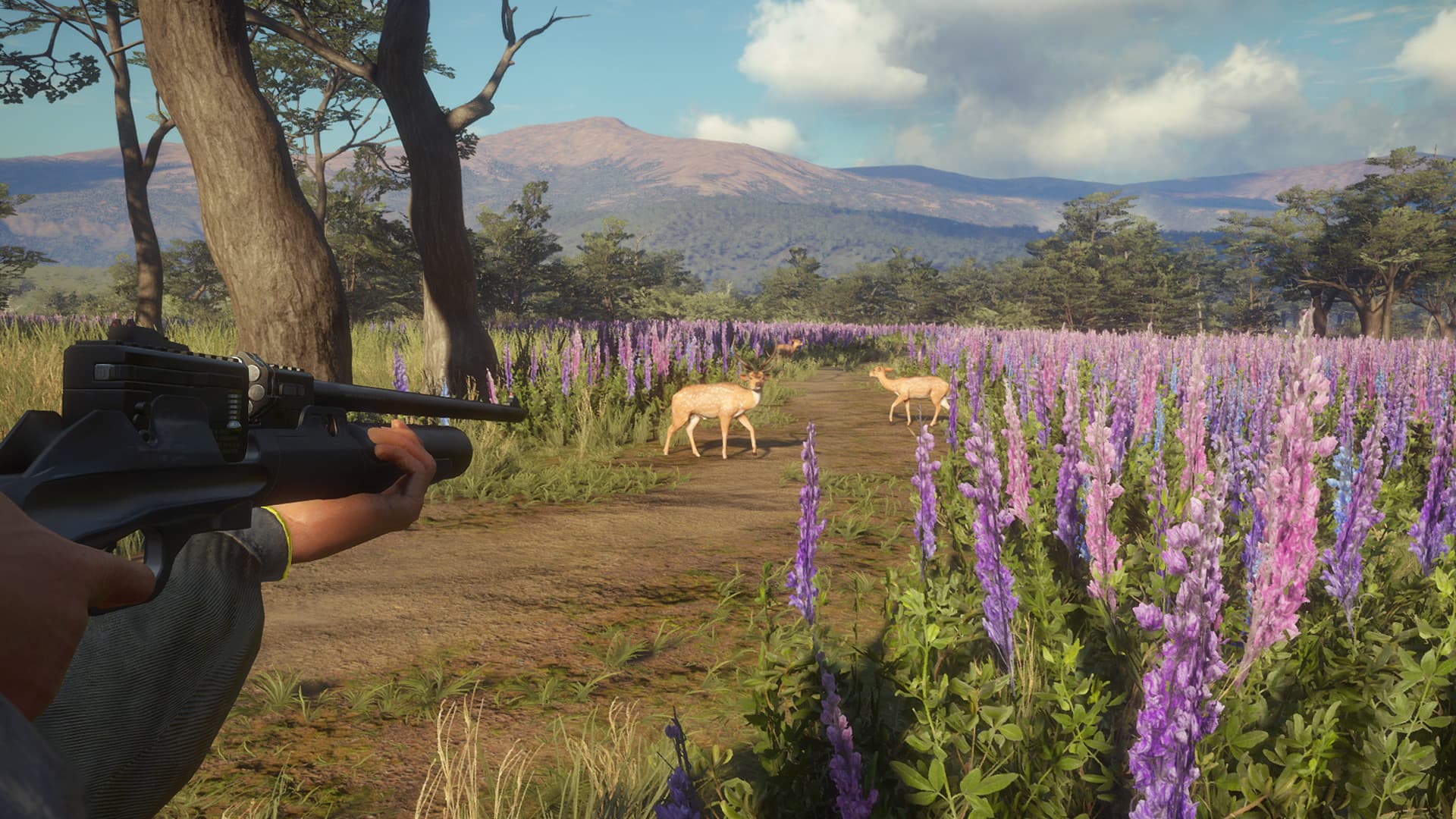 theHunter: Call of the Wild - Weapon Pack 3 DLC — DLC Steam — 4