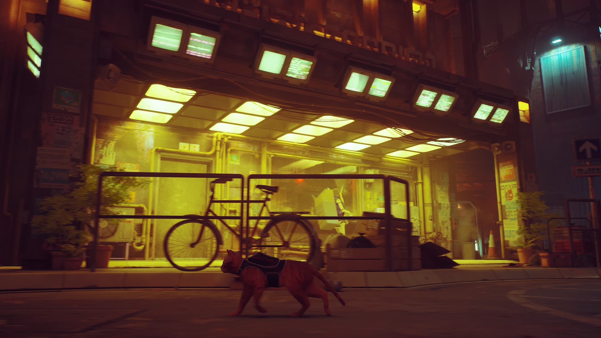 Stray — Clé de jeu Steam — 2