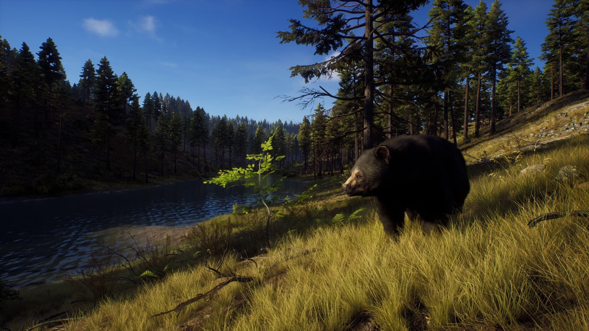 Way of the Hunter Elite Edition — Chiave di gioco Steam — 3