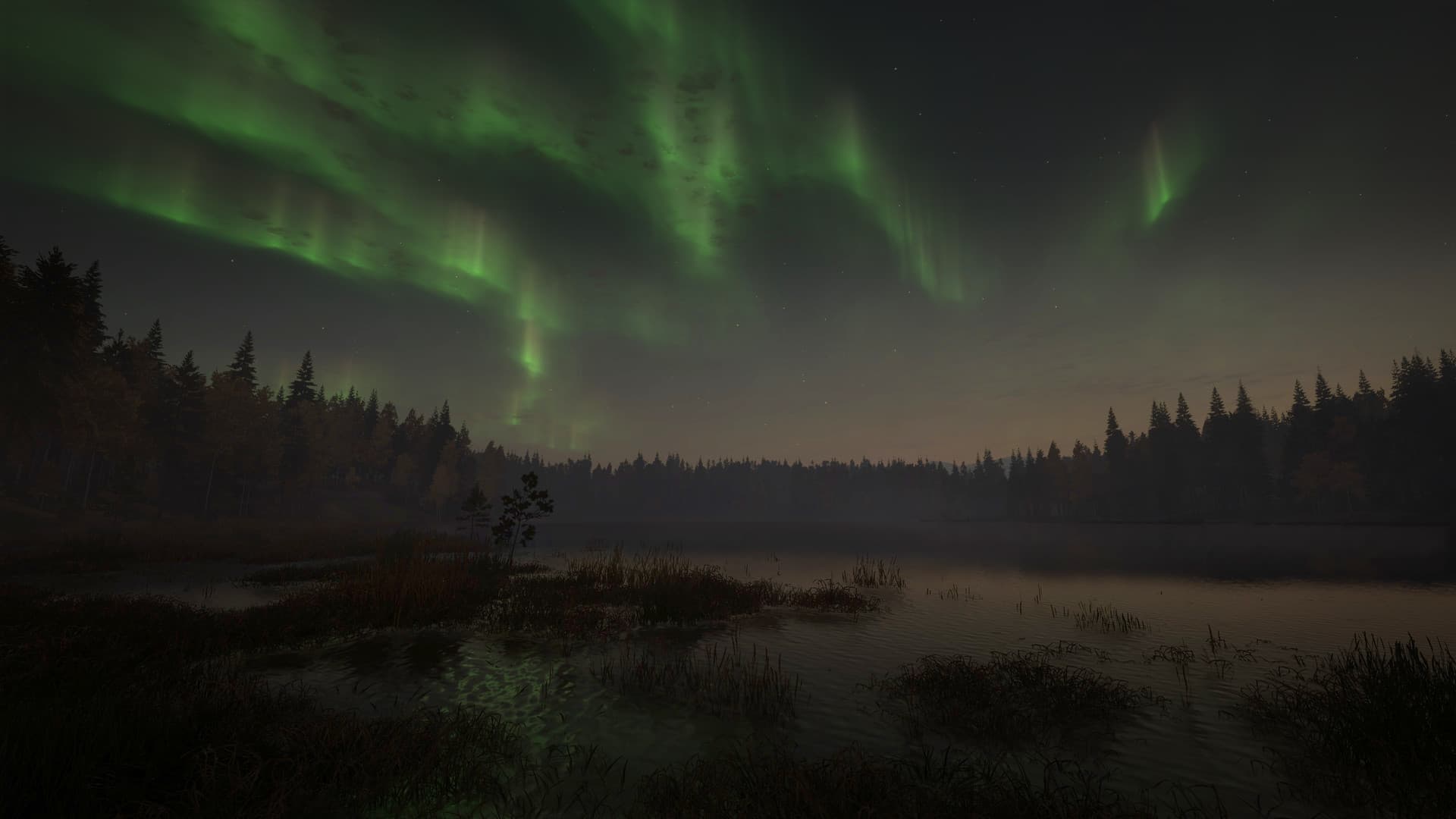 theHunter: Call of the Wild - Revontuli Coast DLC — DLC Steam — 1