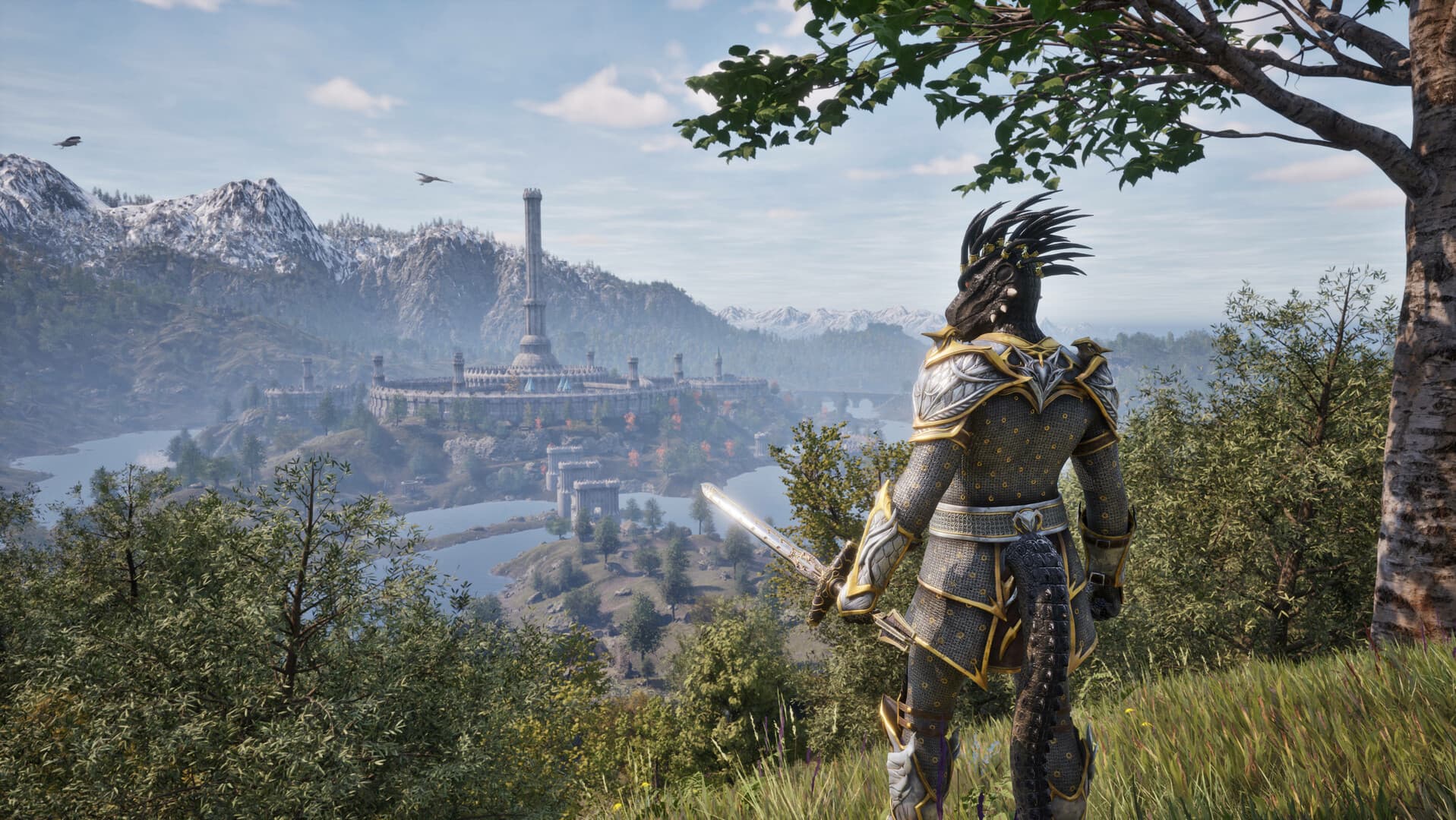 The Elder Scrolls IV: Oblivion Deluxe Edition — Chiave di gioco Steam — 1
