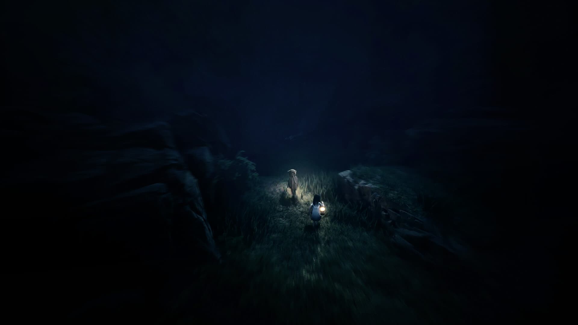REANIMAL — مفتاح لعبة Steam — 4